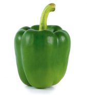 Capsicum Green – பச்சை குடைமிளகாய்