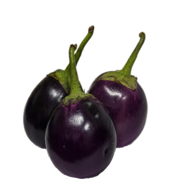 purple brinjal