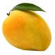 Mangoes - Alphonso