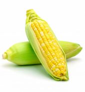 Yellow Sweet Corn, (1 Piece) – மஞ்சள் இனிப்பு சோளம்