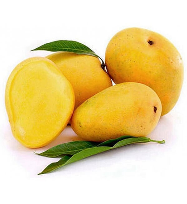 mangoes alponce