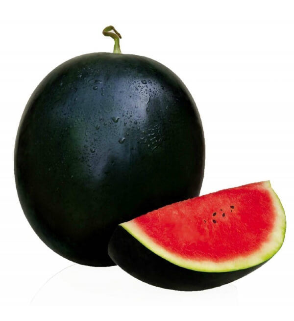 watermelon hybrid