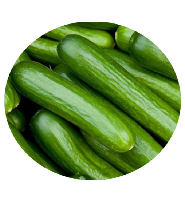 salad cucumber