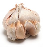 Garlic – பூண்டு