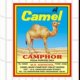camel camphor